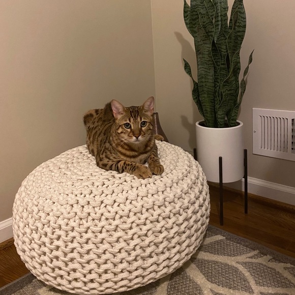 Meet your Posher, Anna - Picture 1 of 1